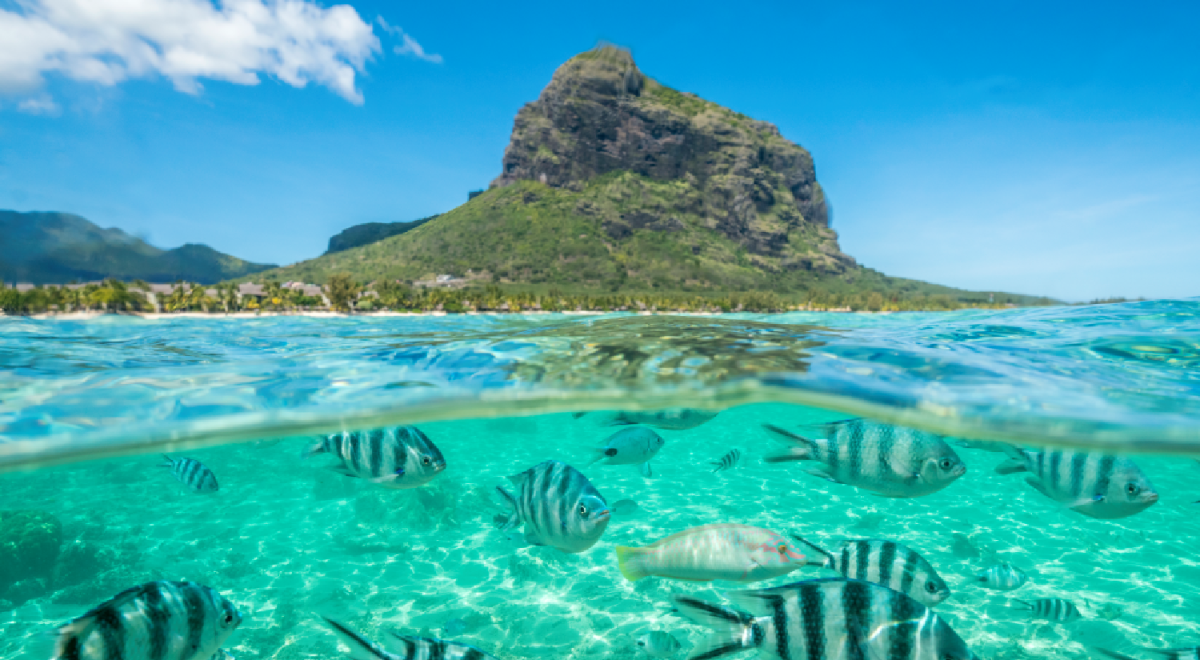 mauritius