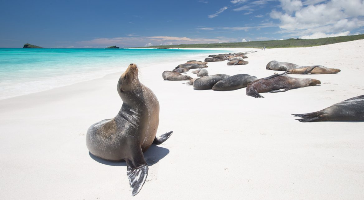 fc-blog-800x450-Galapagos-Islands-blog-image-2-1170x658.jpg