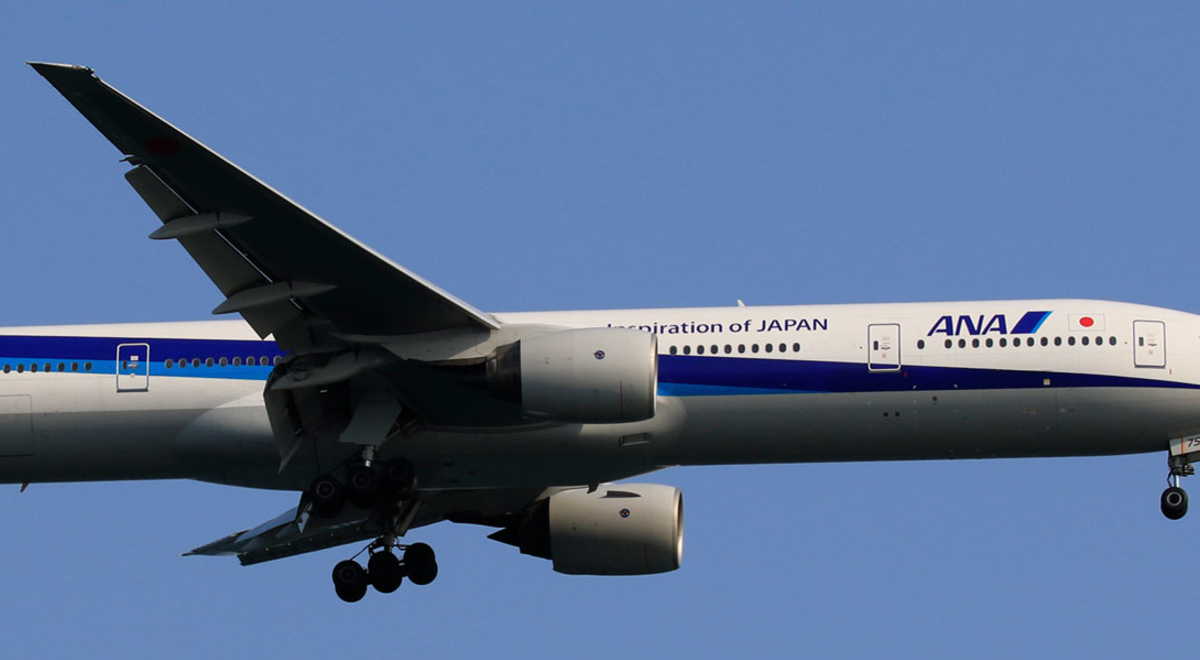 ANA plane
