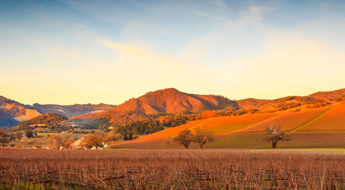 California wine region