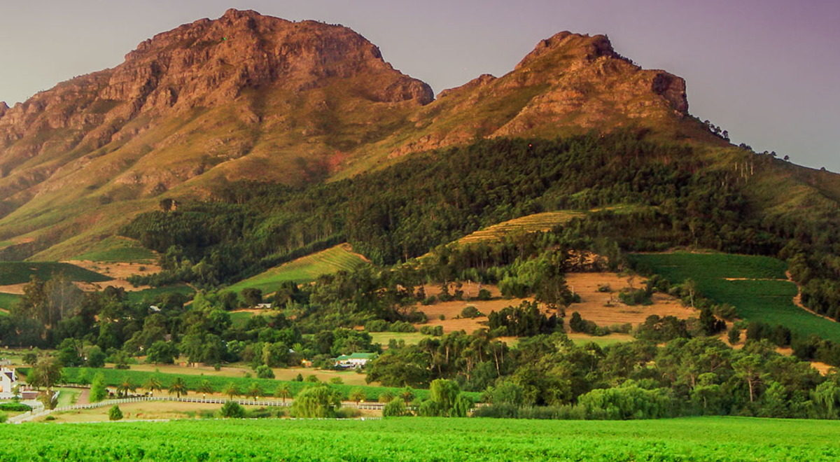 Cape Town Winelands