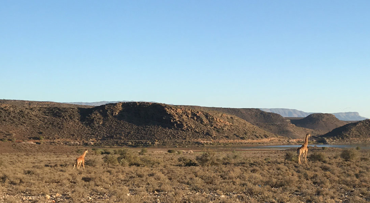 Sanbona South Africa