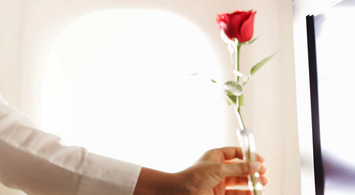 Lufthansa First and Business