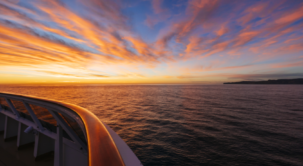 cruise