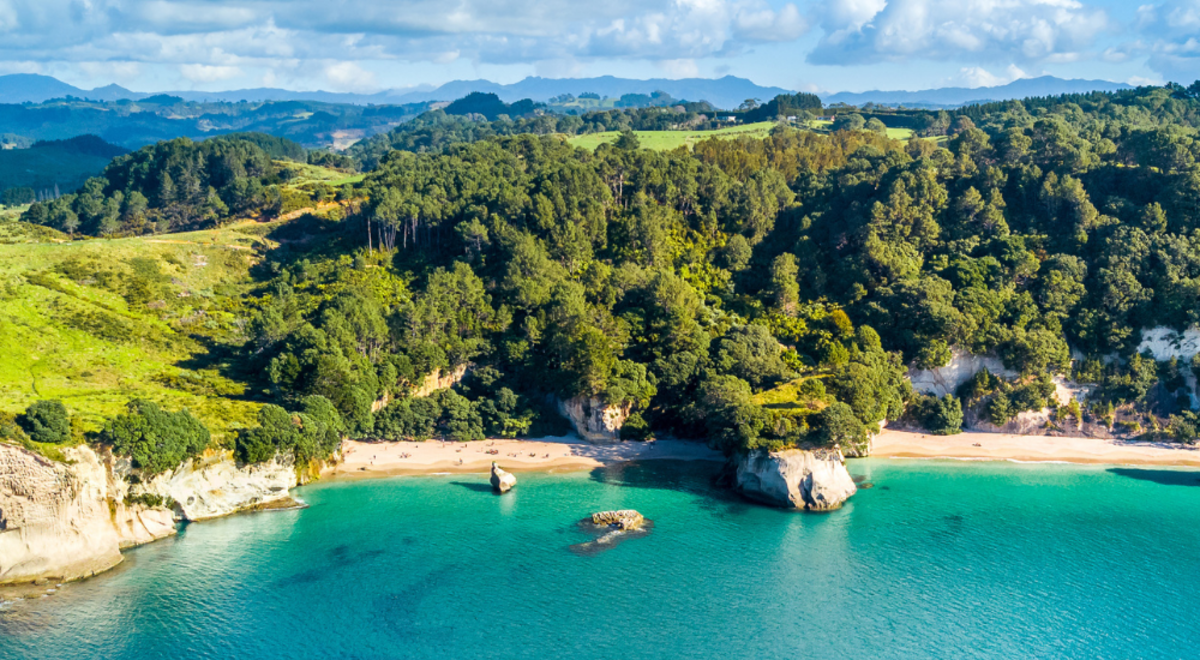 Aerial view of Cathedral Cove and surrounding bays
