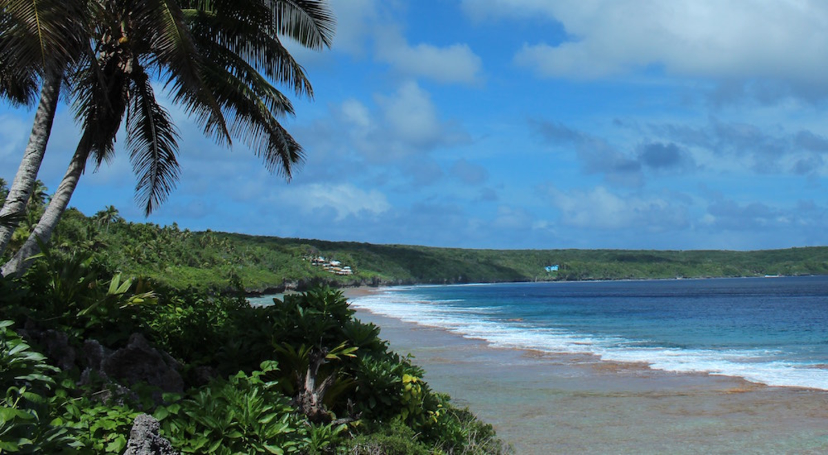 A palm leans over a long sandy beach and sea that runs into a green tongue of land on the horizon in the distance.