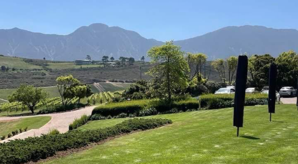 A view of a wine farm's manicured garden, vineyard and mountain in the Cape.