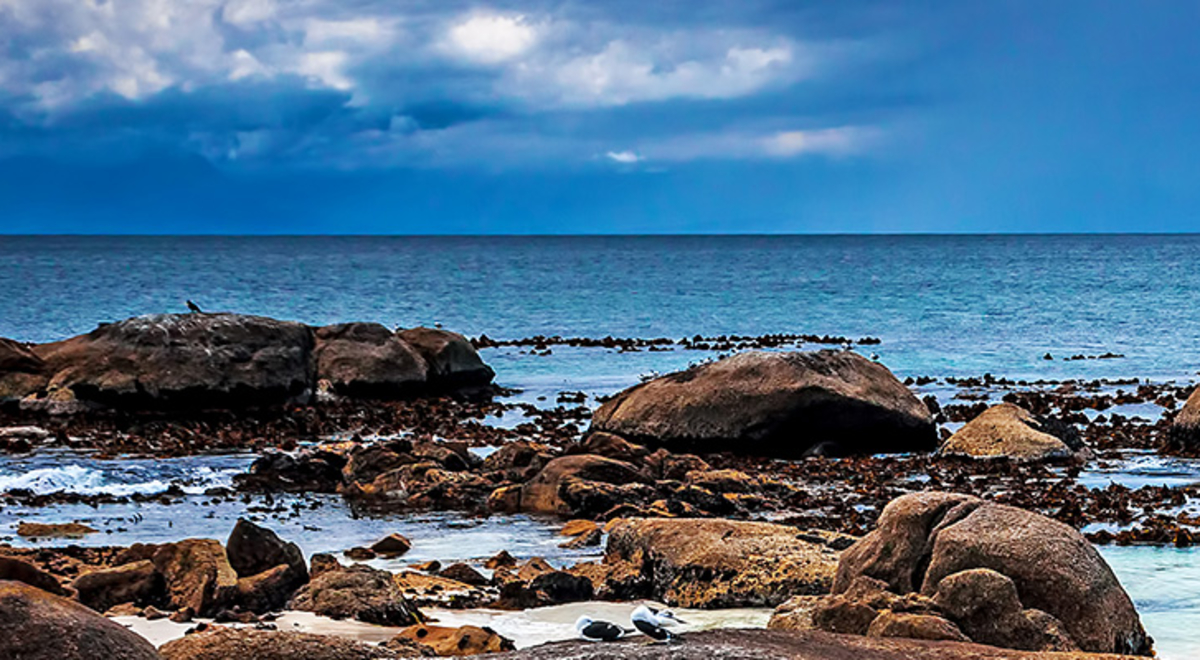 rocks in blue ocean water