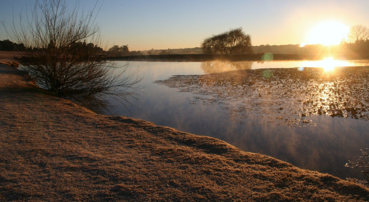 Sun reflecting on the lake 