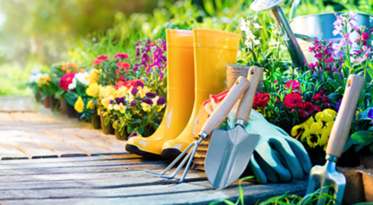 Gum boots and gardening tools in a garden