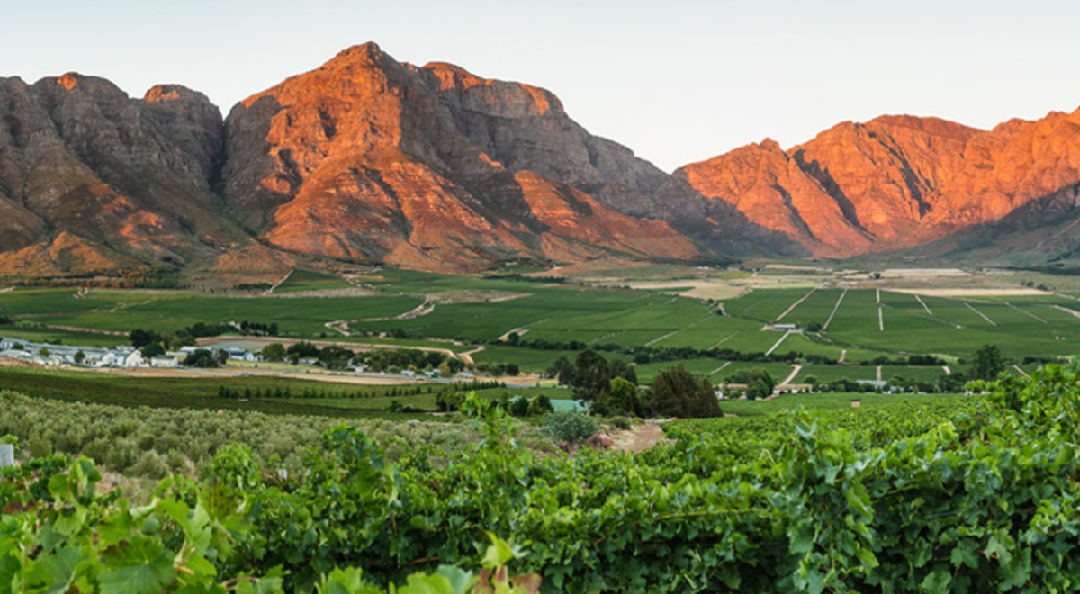 Large green field with a mountain range in the background