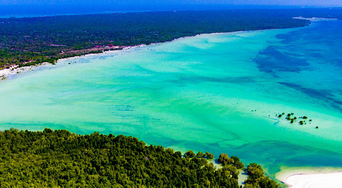 Clear blue water surrounded by bushland