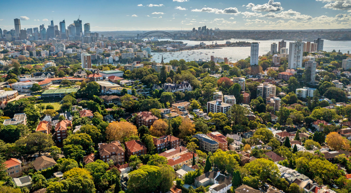 Idyllic city, houses green trees, Sydney Harbour, aerial view 