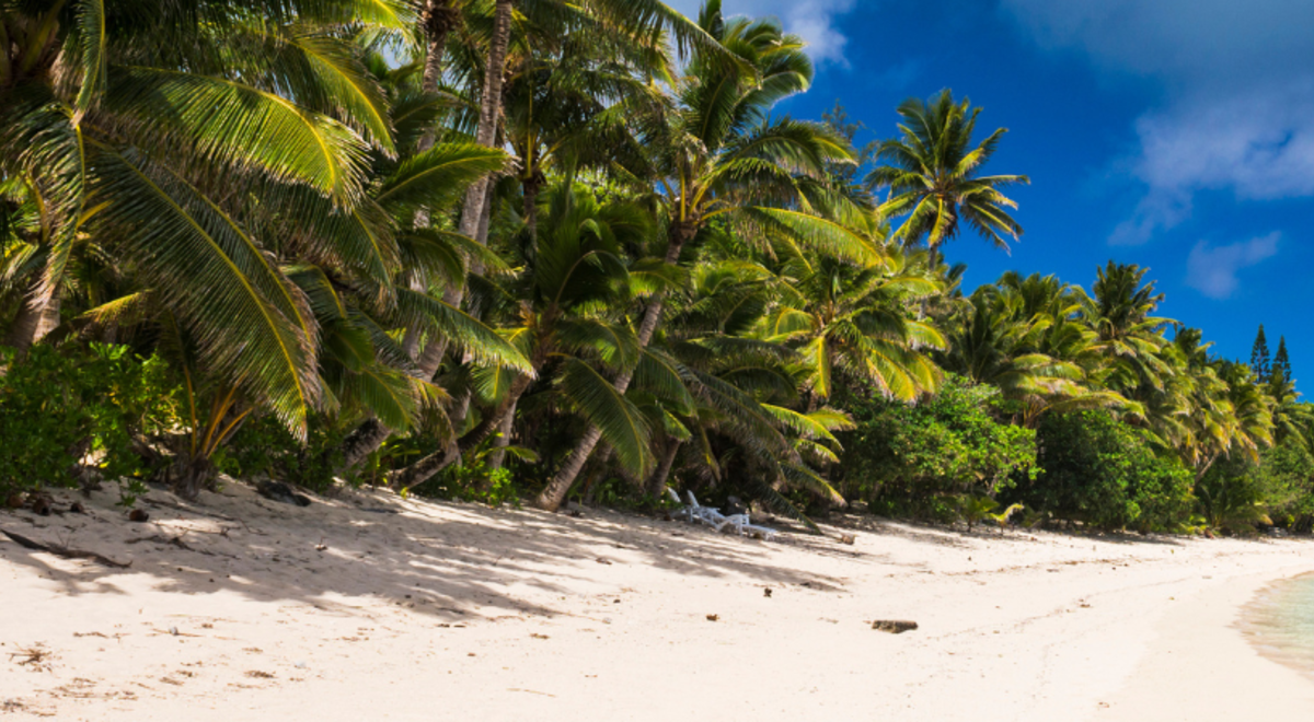 A palm-lined beach beneath a blue sky in Rarotonga