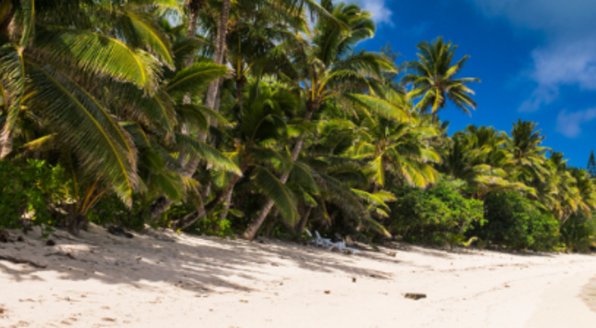 A palm-lined beach beneath a blue sky in Rarotonga