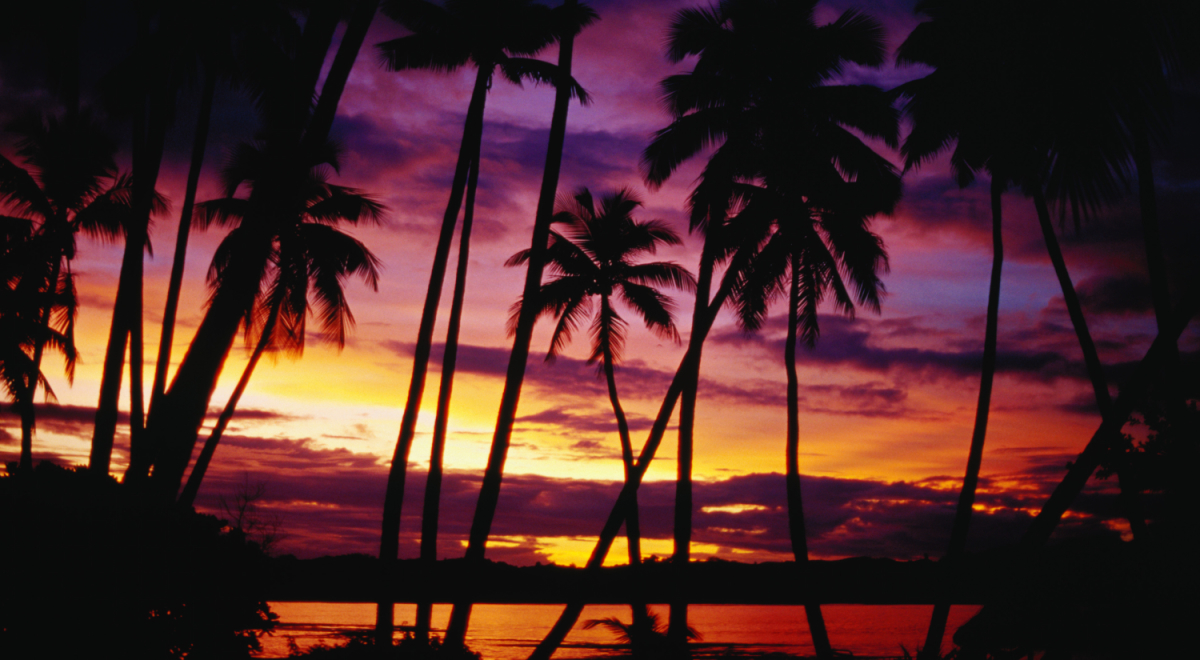 Sunset over palm trees on the Coral Coast, Fiji