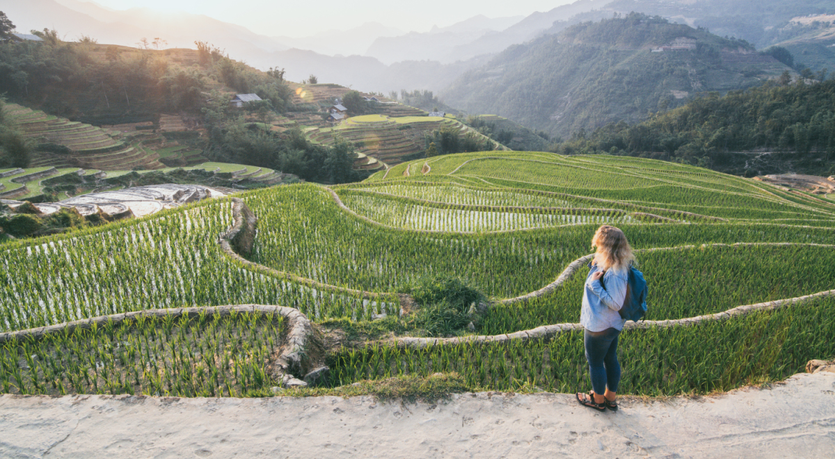 lady overlooking a rice terrace in vietnam