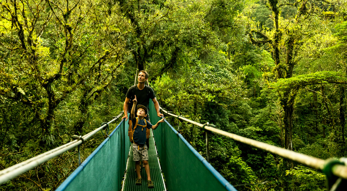 A father and son walking across a bridge in a lush forest