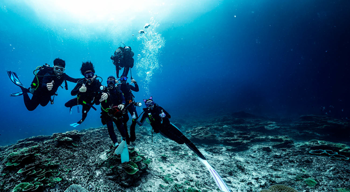 A group of friends snorkelling