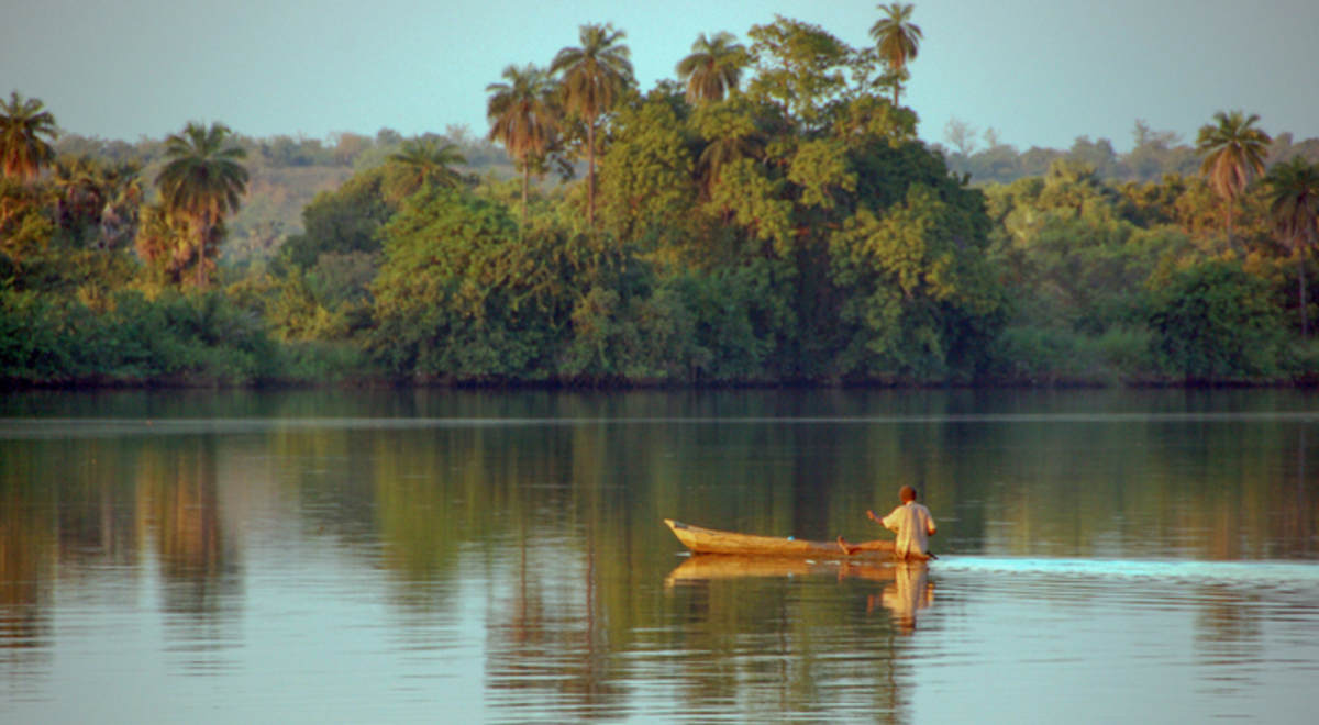 A local rowing on the river Gambia at sunset. The background has the jungle under a blue sky.