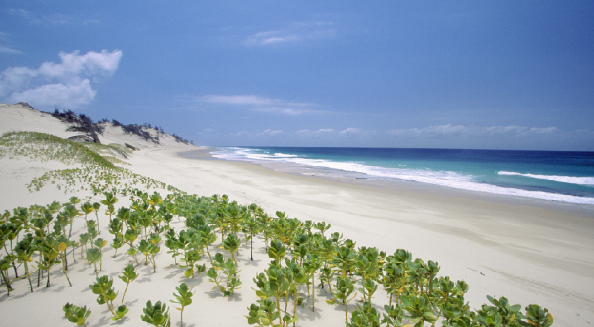 mozambique