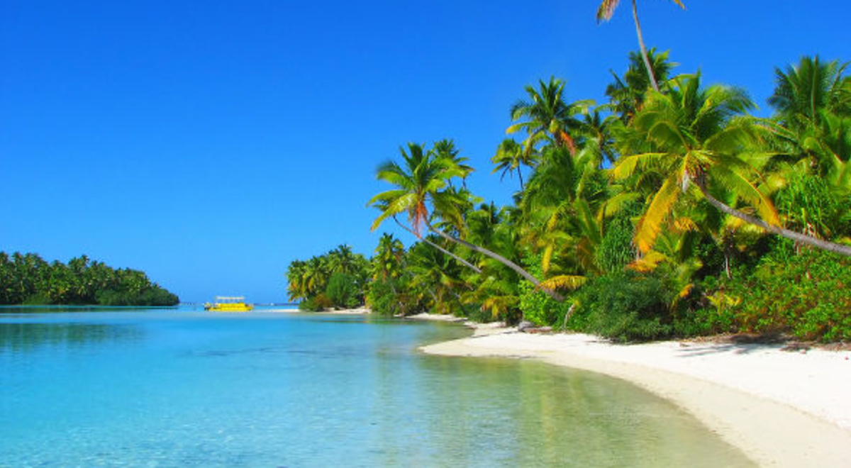 a view of the beach and the palm trees in Cook Islands