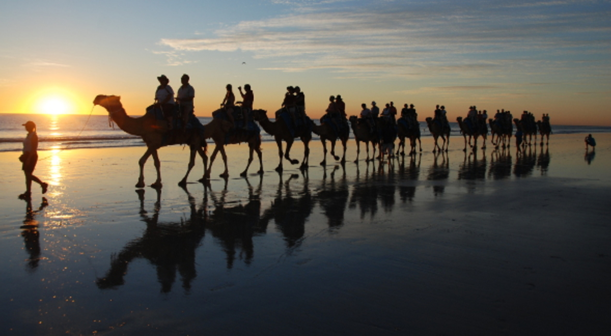 Group riding camels on the beach at sunset 