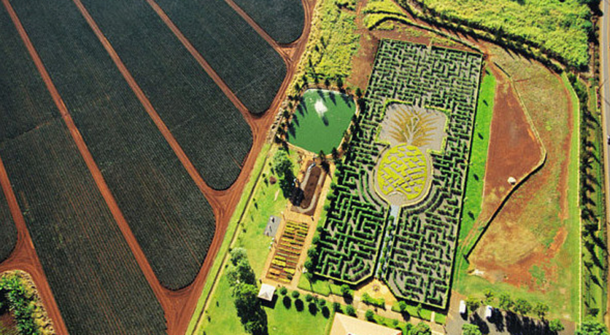 Ariel view of the green maze 