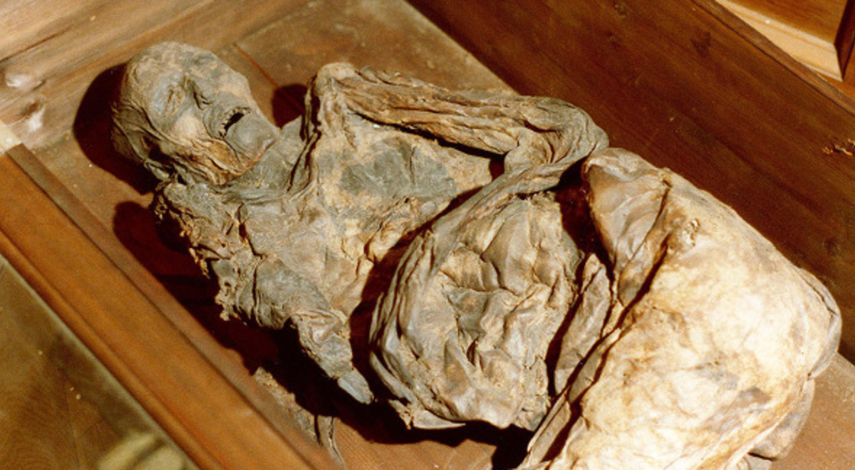 a mummified person in a wooden box