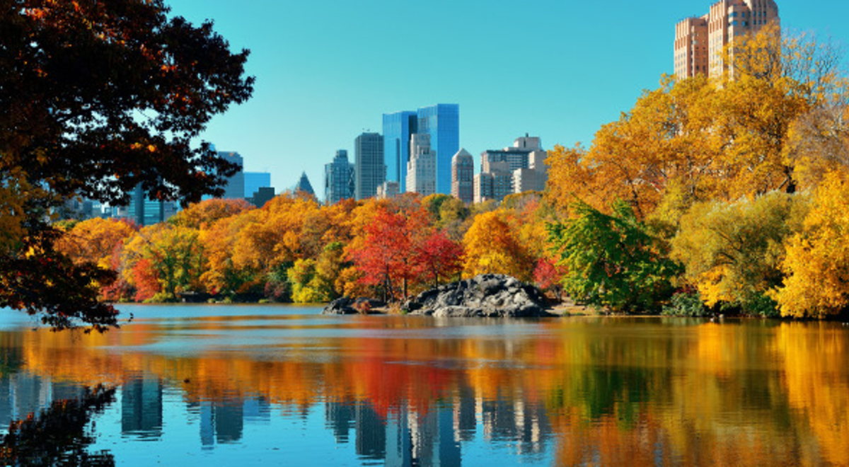 Trees with autumn leaves around lake in Central Park with New York City buildings in backgound
