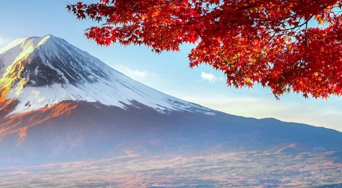 red leaves of a tree and a pointy snowy mountain in asia