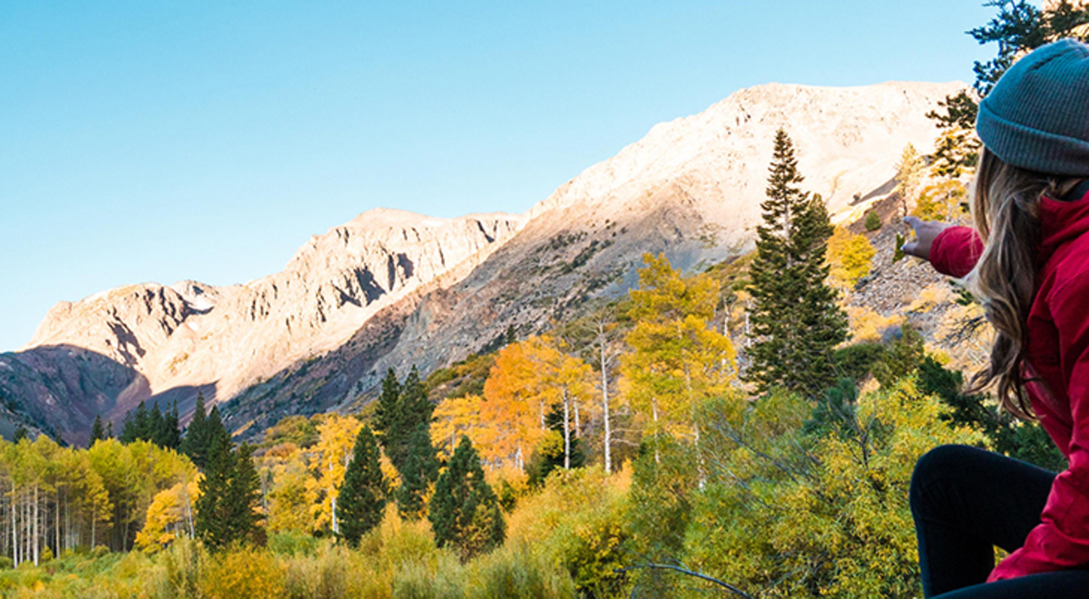 Fall foliage in Lundy Canyon, Mammoth Lakes