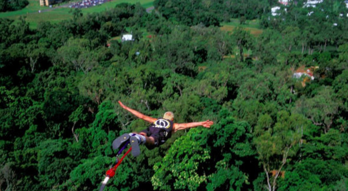 bungy jumping into the forest