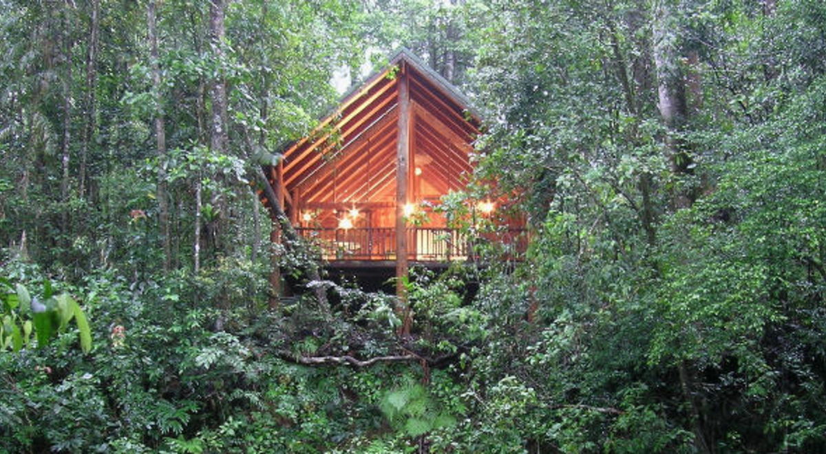 Beautiful cabin in the middle of the forest 