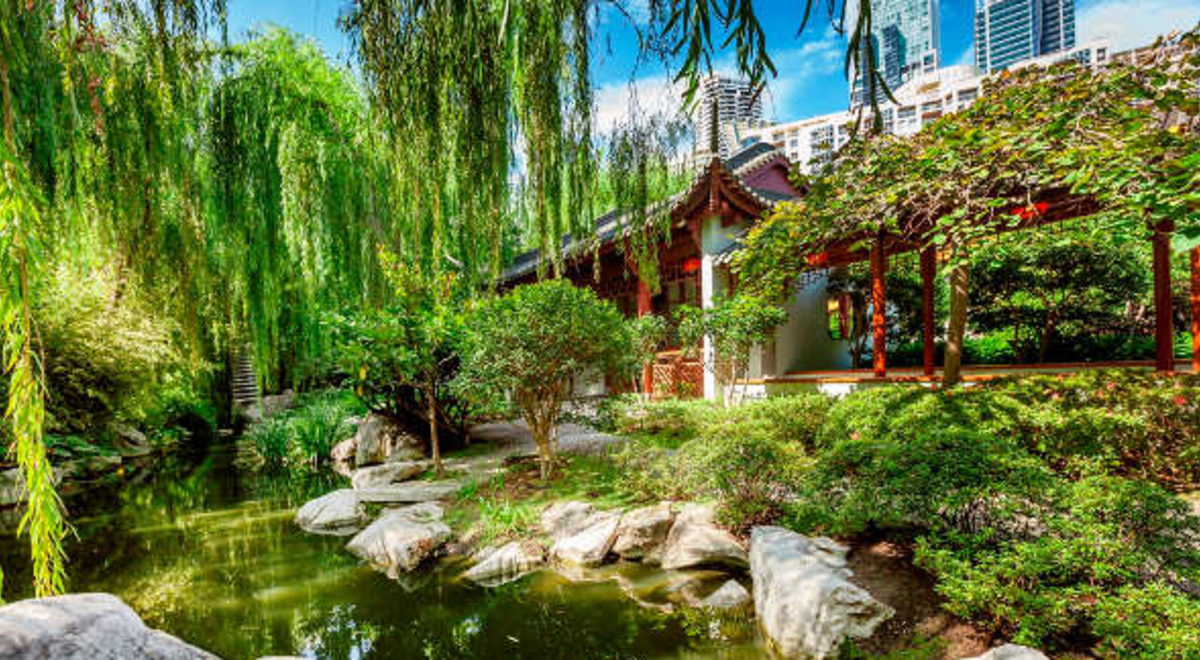 Beautiful greeneries of the Chinese Garden of Friendship in Sydney