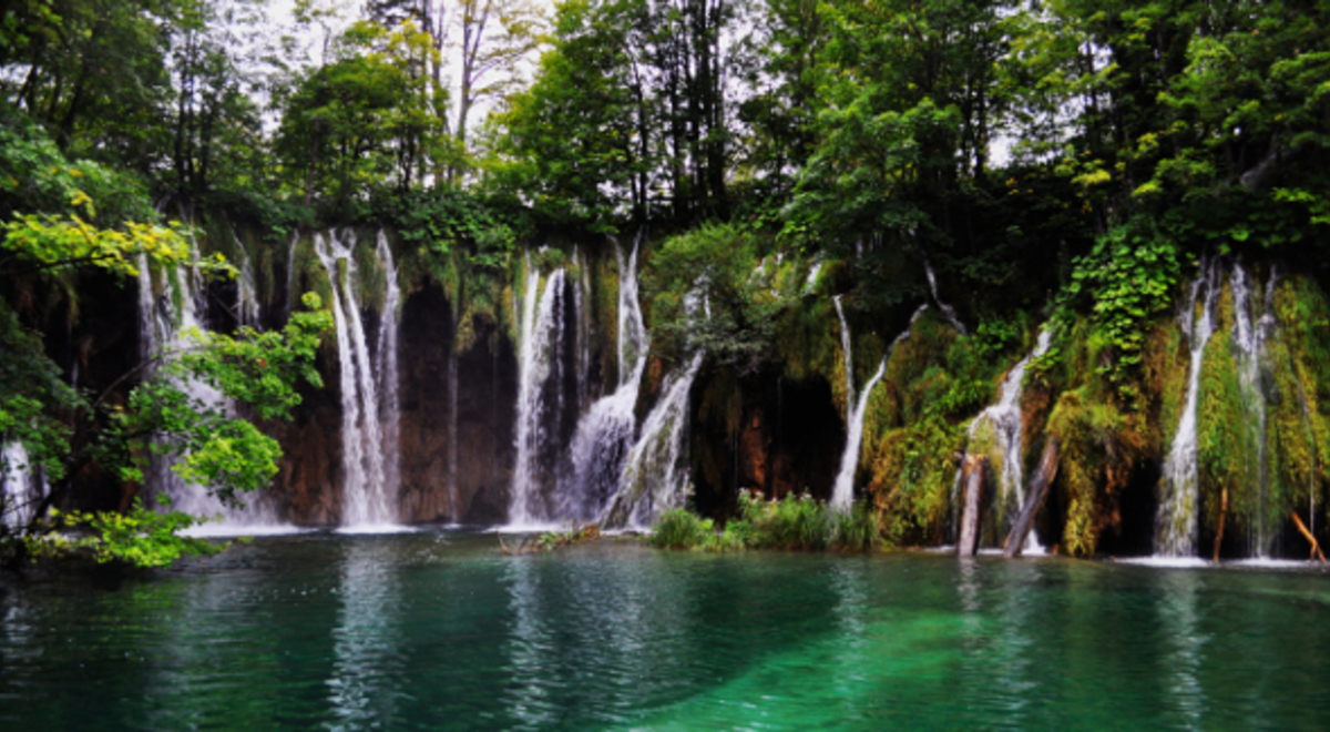 Waterfalls flowing past vegetation into green water 