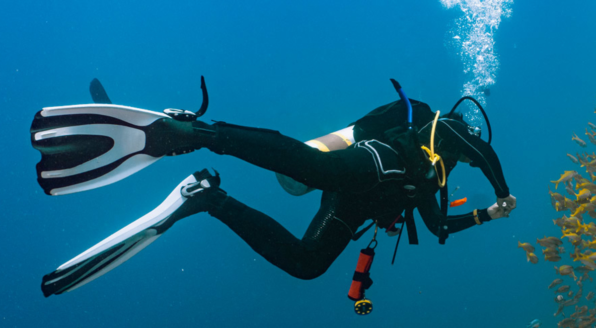 scuba diving great barrier reef