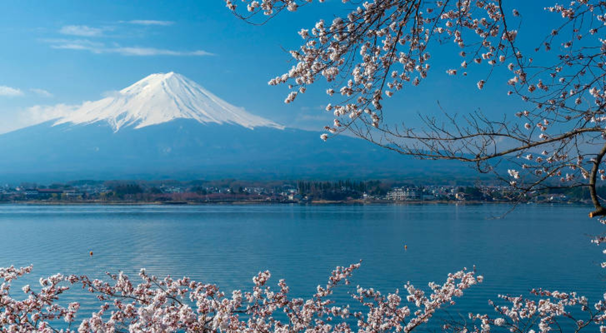 Mt. Fuji with view cherry blossoms view