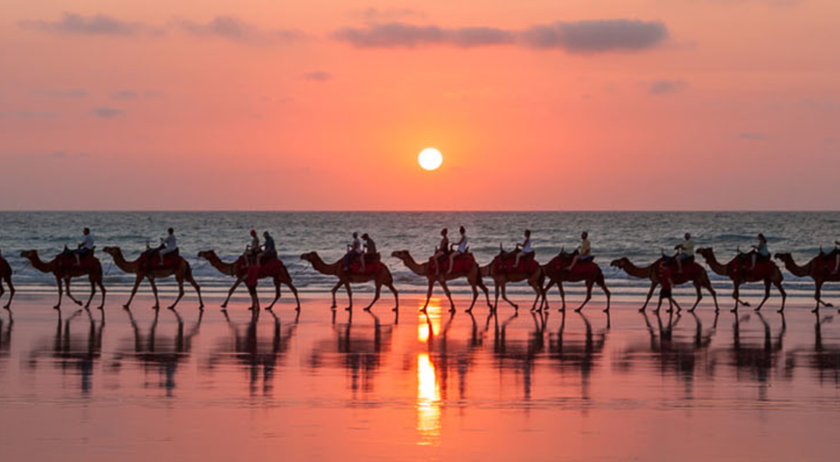 Tourists riding camels on the sea chore with the sunset on the background
