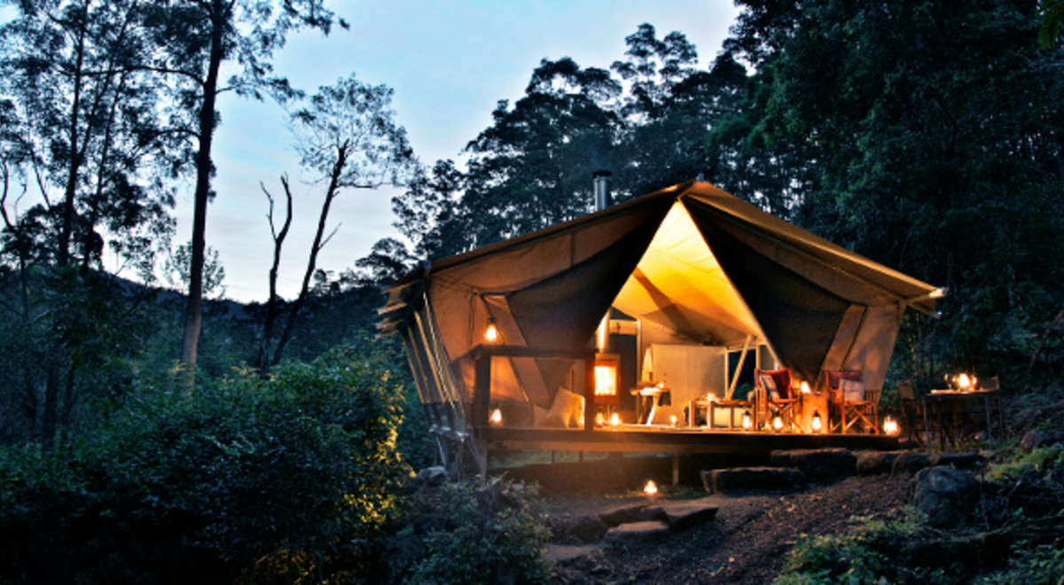 a well-lit glamping tent in the middle of the forest at night
