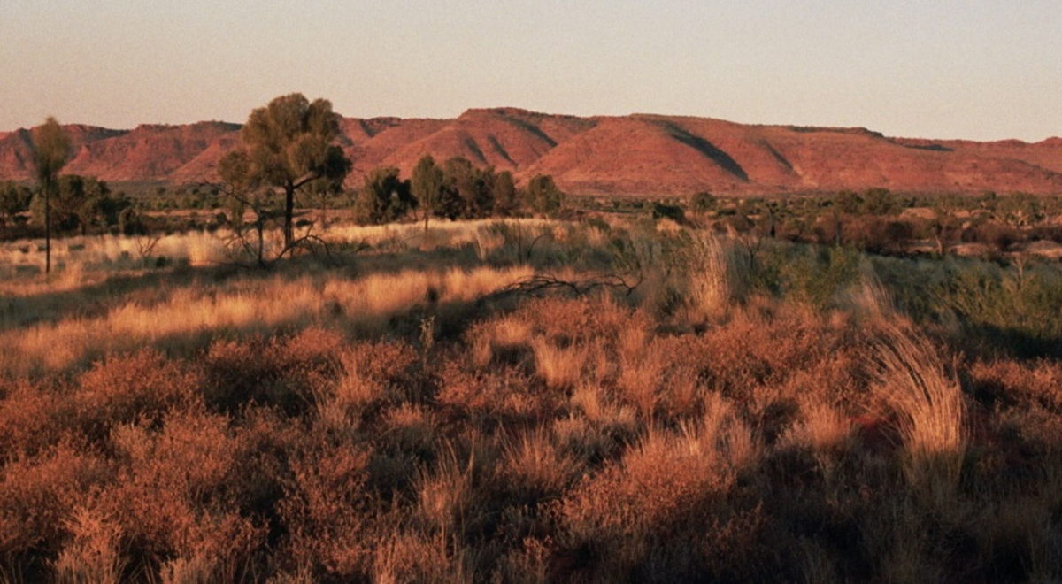 view of the Kings Canyon during sunset