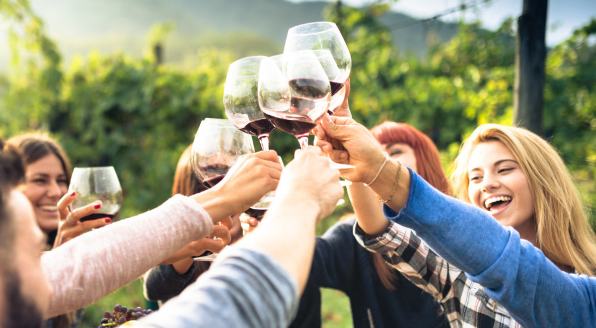 Group of friends having a cheers with red wine 