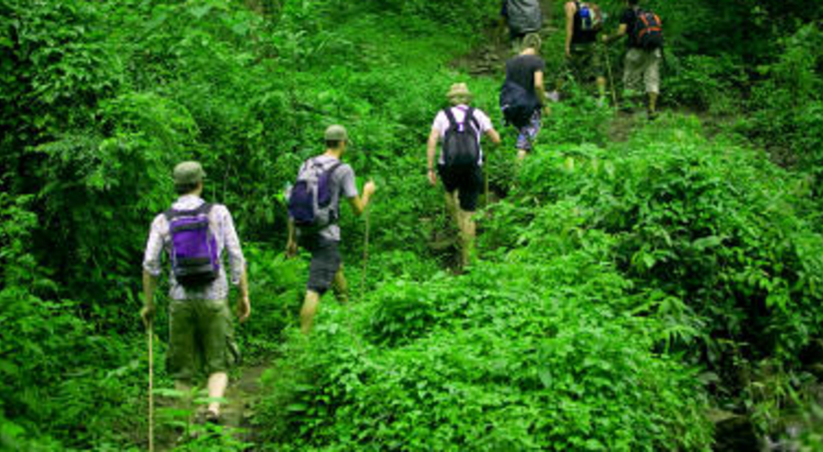 Group of Hikers going up the Kokoda Track in Papua New Guinea