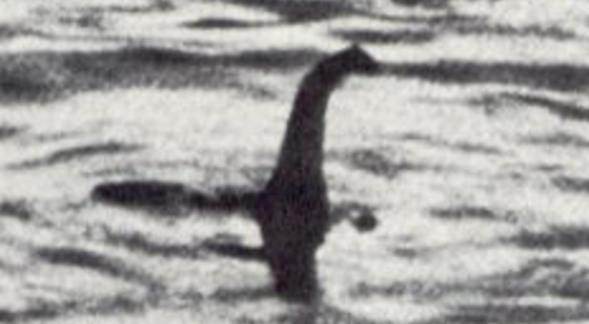black and white photo of the loch ness monster