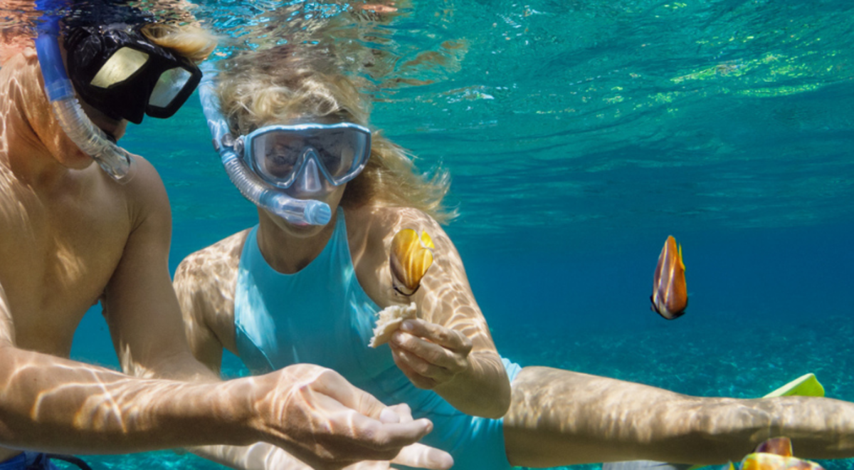 Couple feeding fish while snorkeling in Phuket