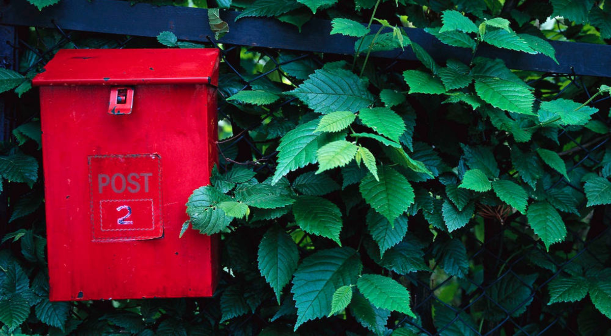 A red post box against a leafy green hedge.