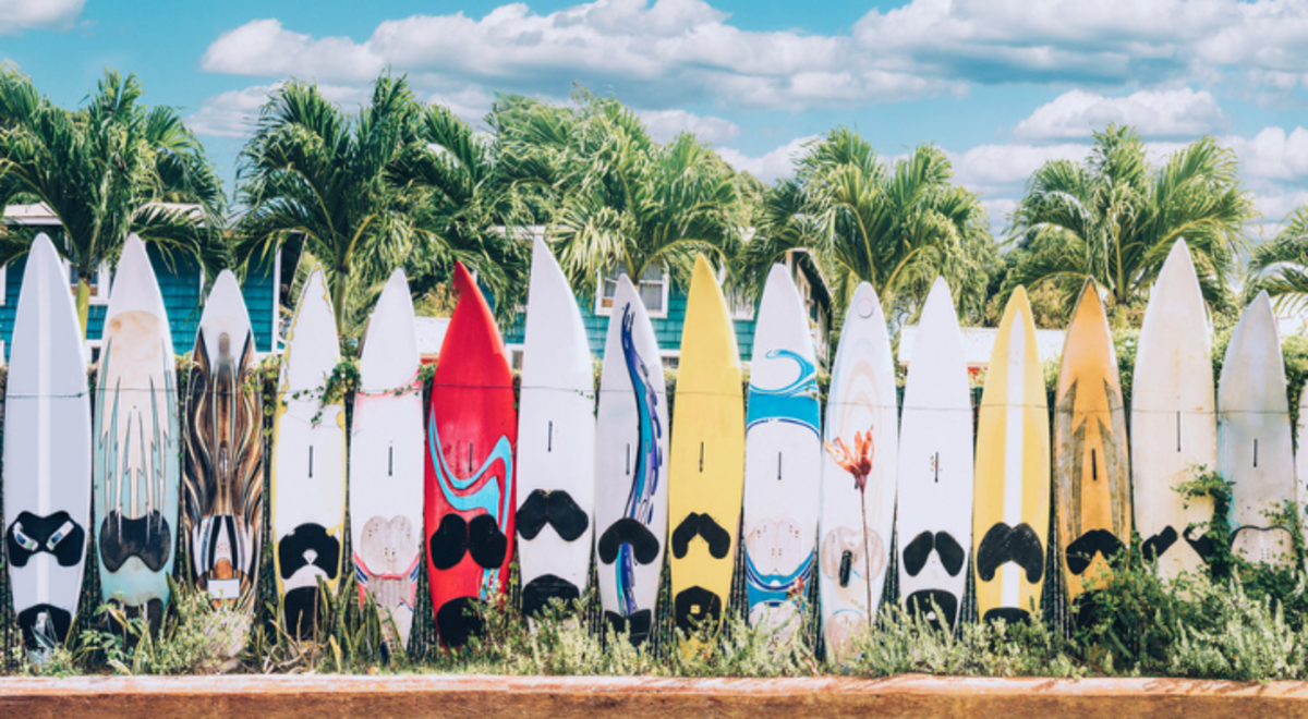 Row of colorful surfboards on display
