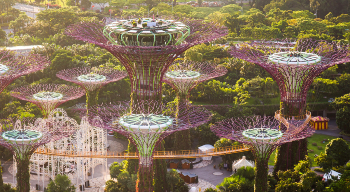 The majestic Gardens by the Bay in Singapore
