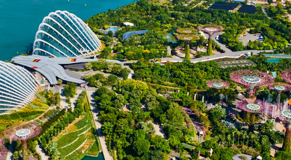 aerial view of Singapore greenery and infrastructure 