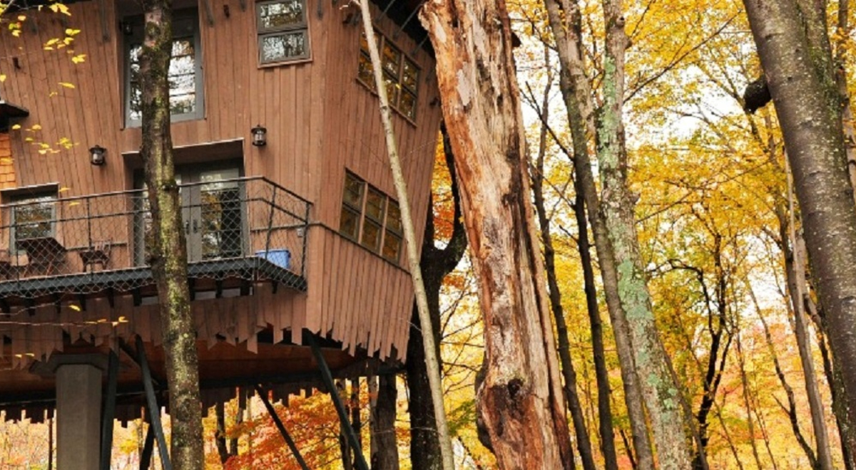 Tree houses amongst autumn trees 